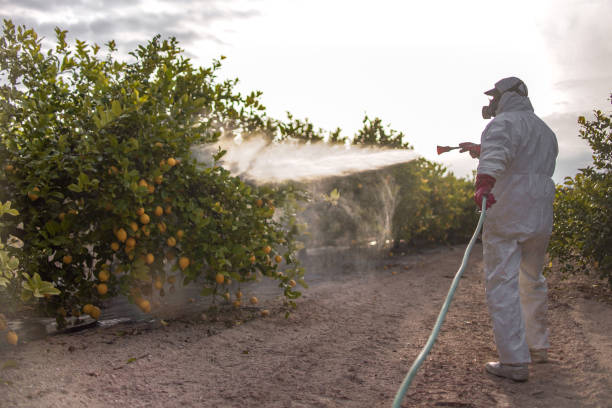 Best Pest Prevention Services  in Yates Center, KS