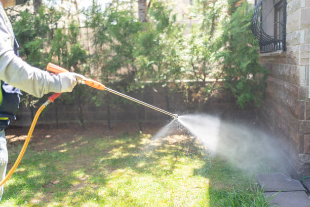 Best Residential Pest Control  in Yates Center, KS