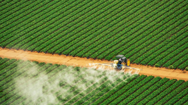 Trusted Yates Center, KS Pest Control Experts