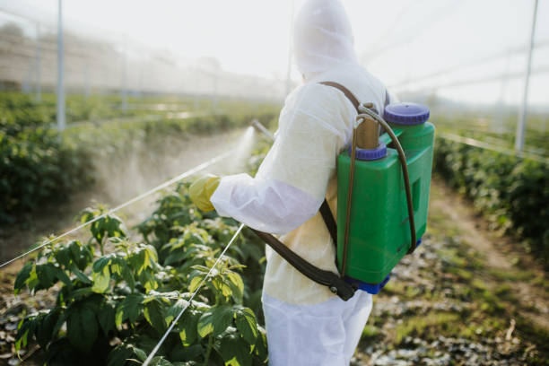 Best Mosquito Control Services  in Yates Center, KS